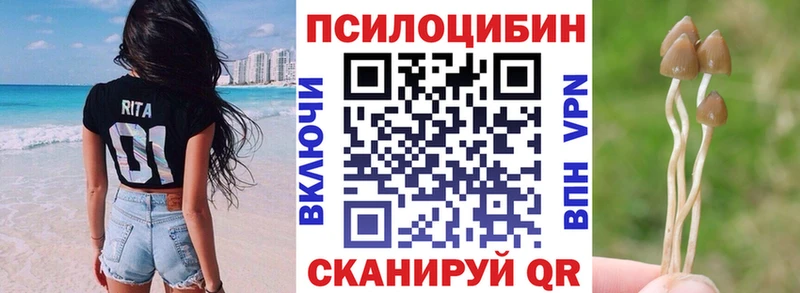 Псилоцибиновые грибы мухоморы  цена   Яблоновский 